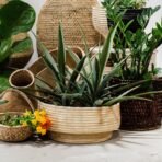 Natural Woven Dengu Basket - Image 8